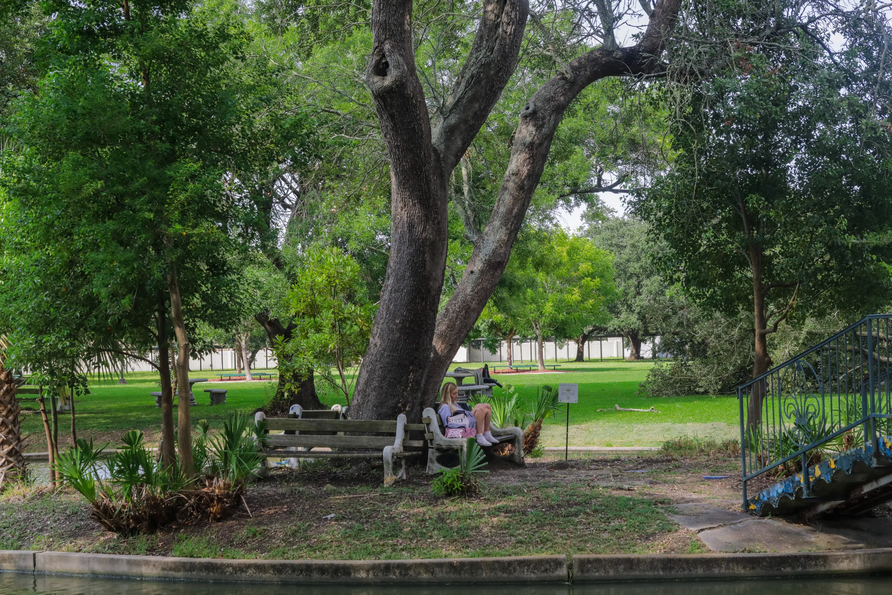 student sitting on bench under an oak tree