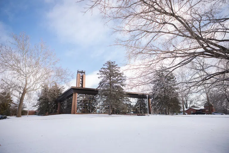 Padour Walker in Winter