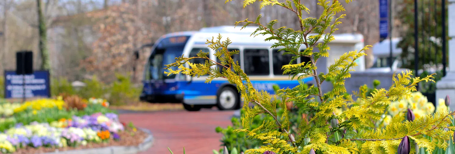 Woodruff Transit Circle