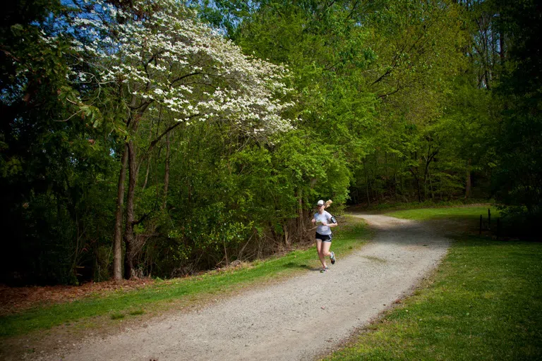 Lullwater Preserve