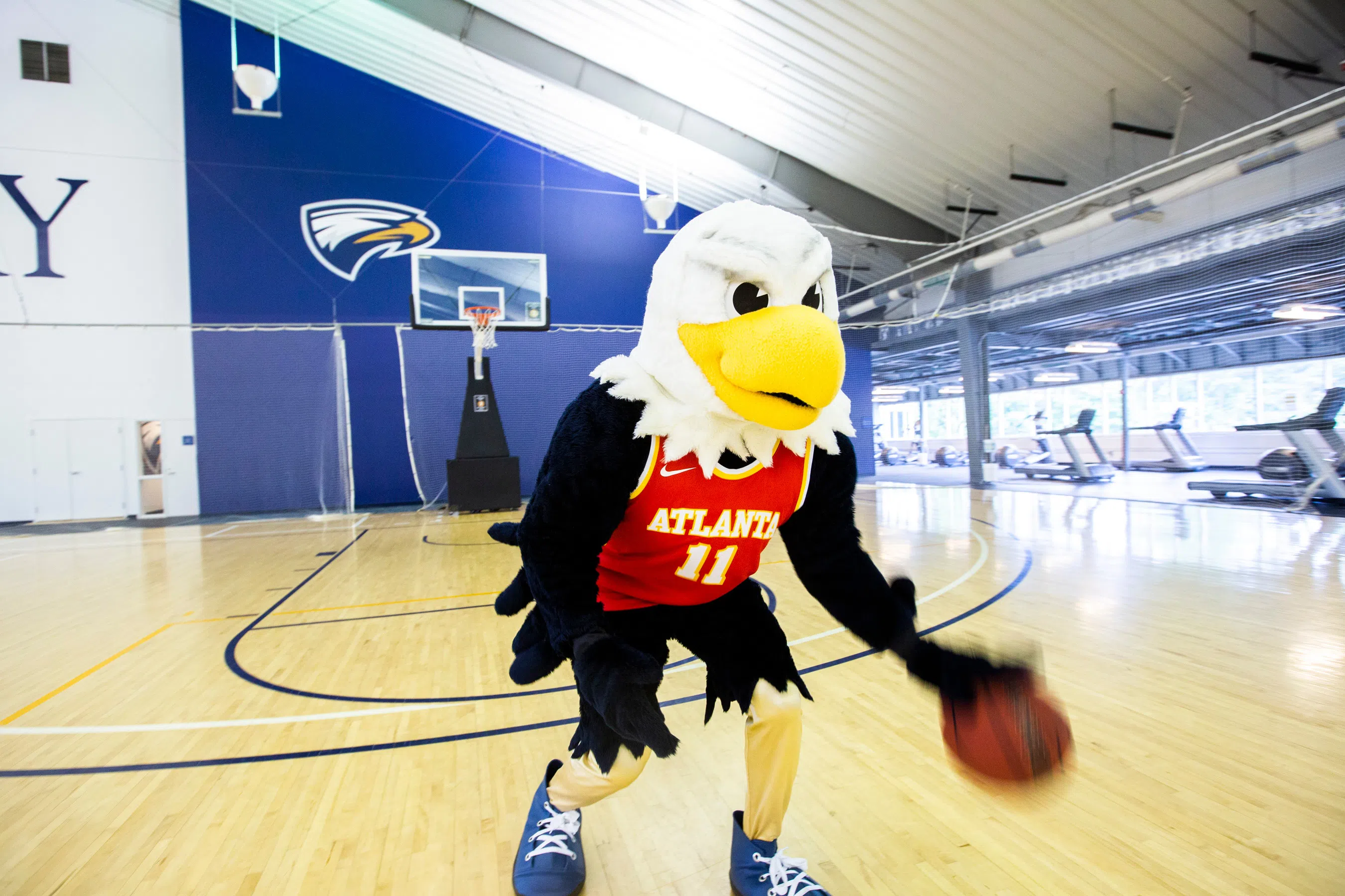 Swoop the Eagle