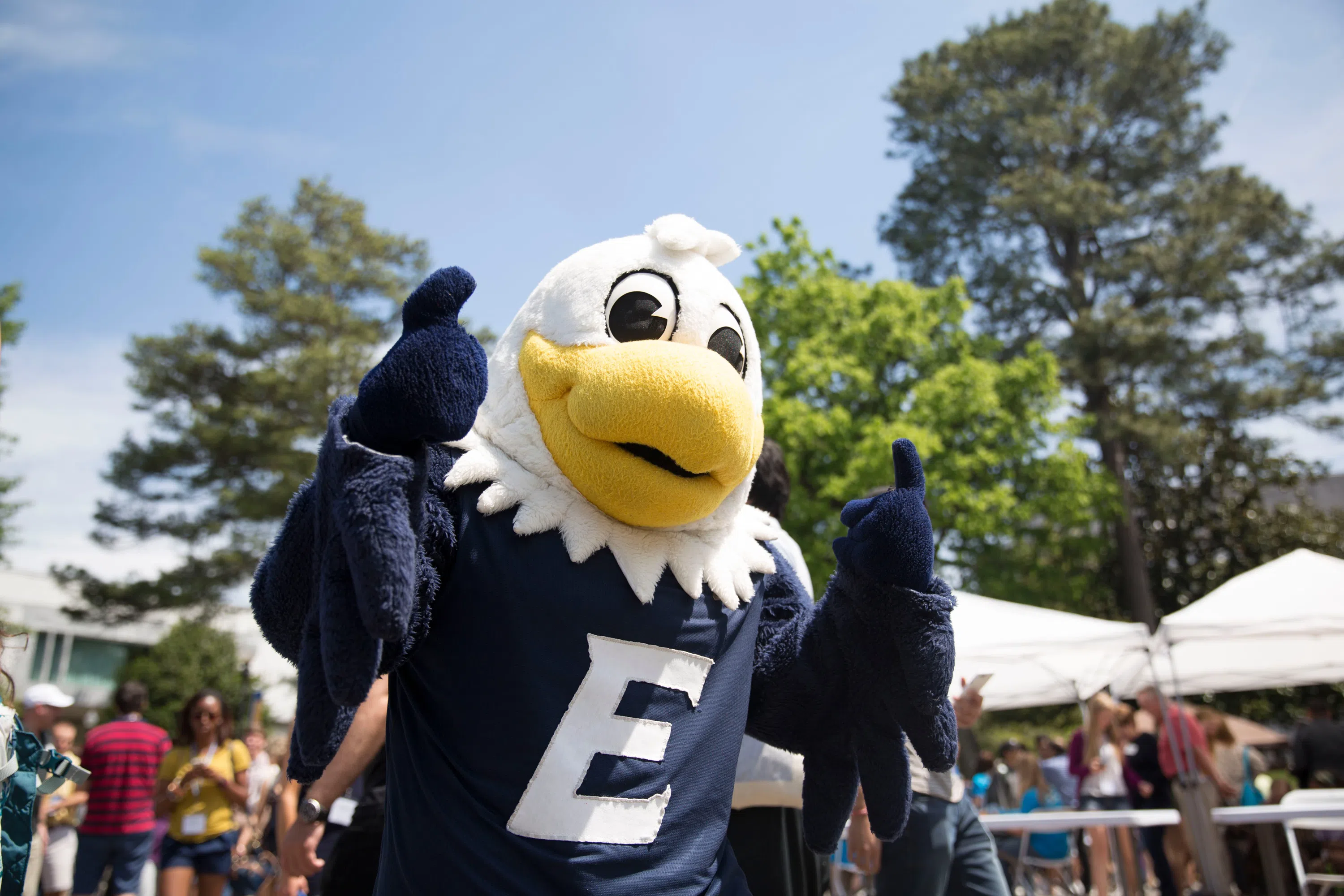 Emory Mascots - Swoop the Eagle