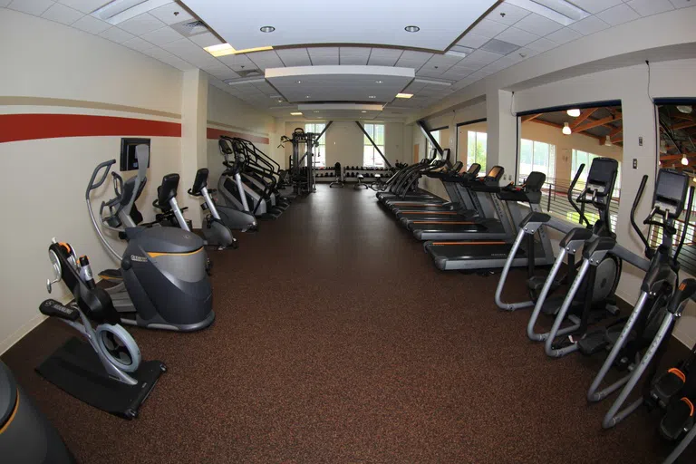 Fitness equipment in the Fitness Center. Includes rows of treadmills, elliptical and bikes. 