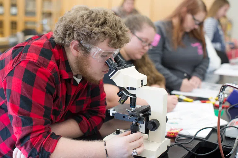 Student uses a microscope