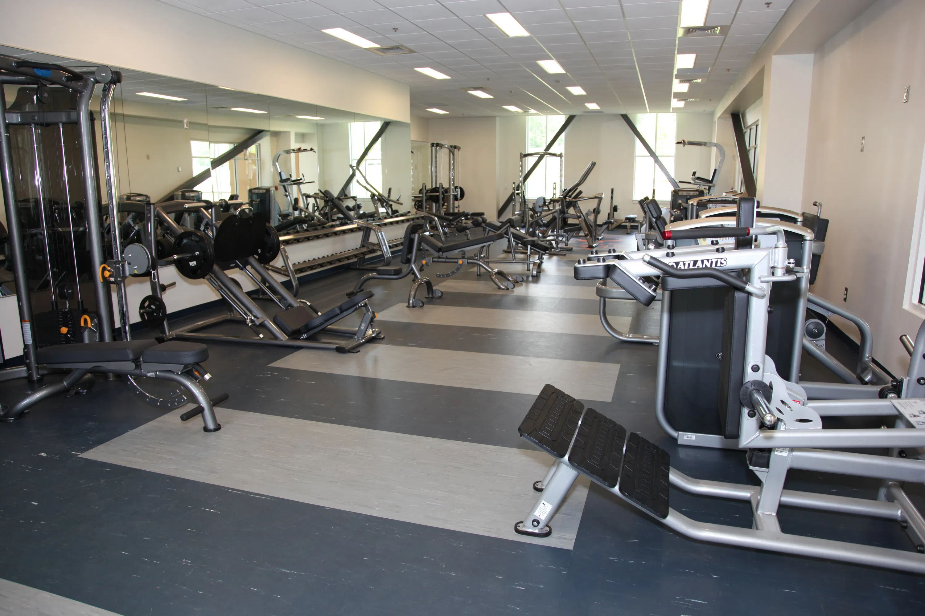 Weight area of the fitness center