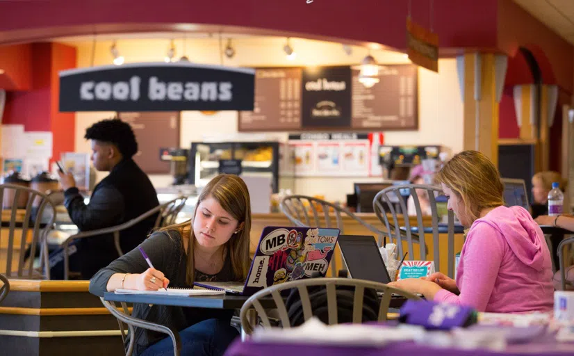 students studying, eating