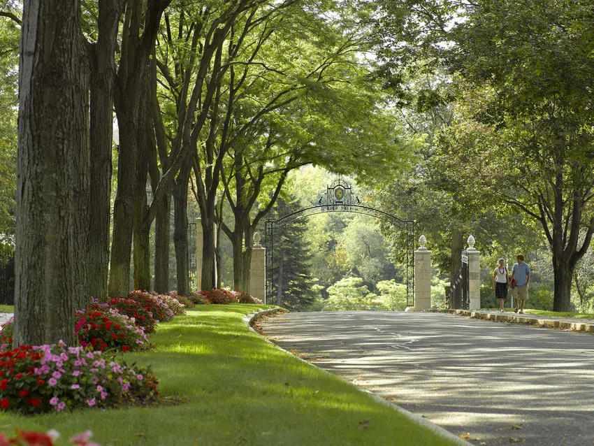 view down Linden Lane