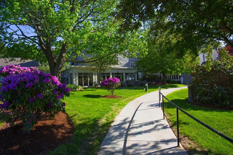 Outside of Ciampi, sidewalk with beautiful flowers