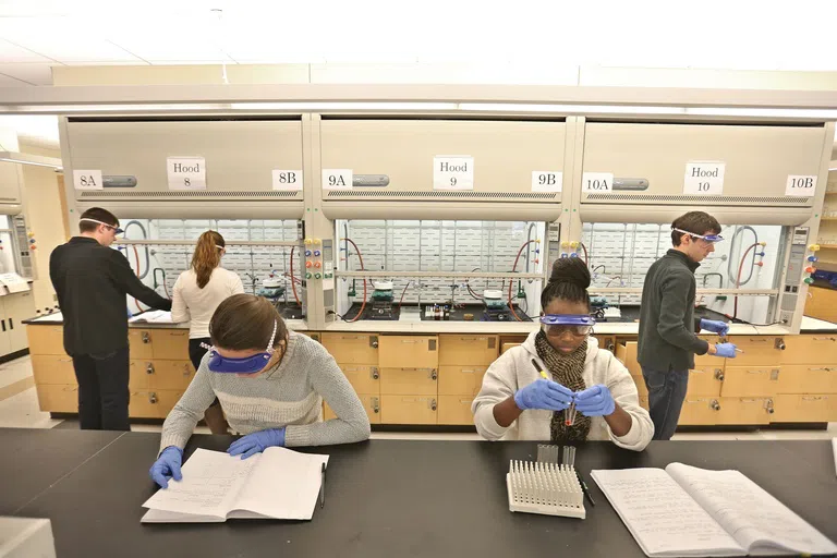 Students work in a lab