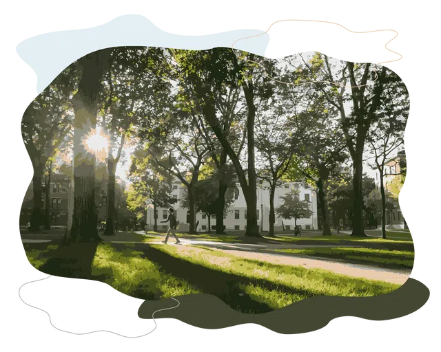 A student walks on a pathway through Harvard Yard, where we see grass, trees, and a white building in the background.