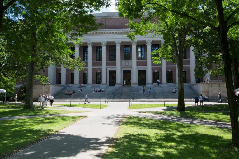 A columned library building at the end of a tree-lined path