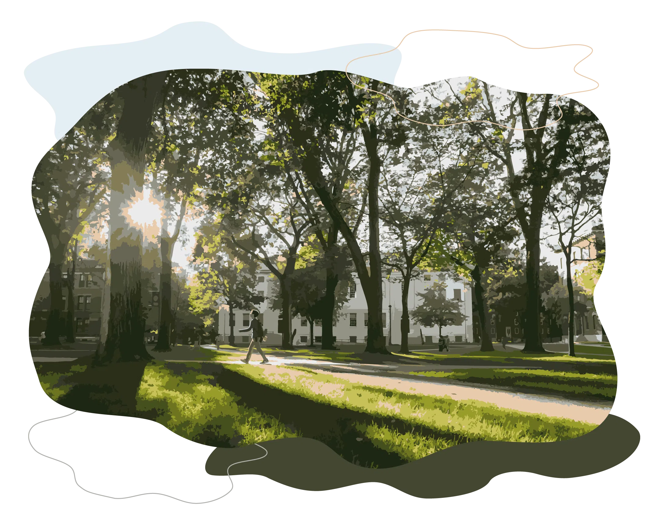 A student walks on a pathway through Harvard Yard, where we see grass, trees, and a white building in the background.