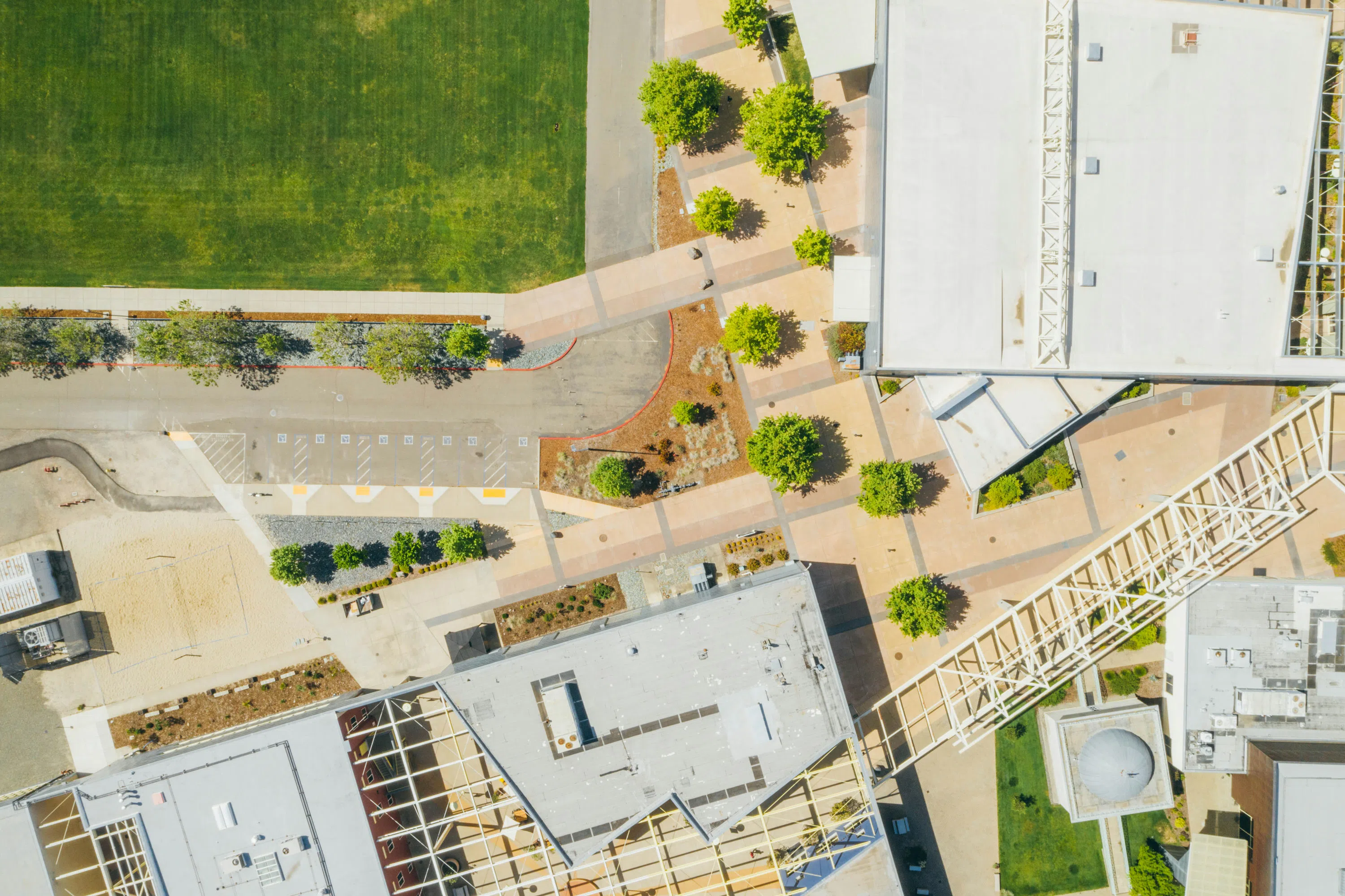 campus drone shot birds eye view with grass, trees and campus buildings