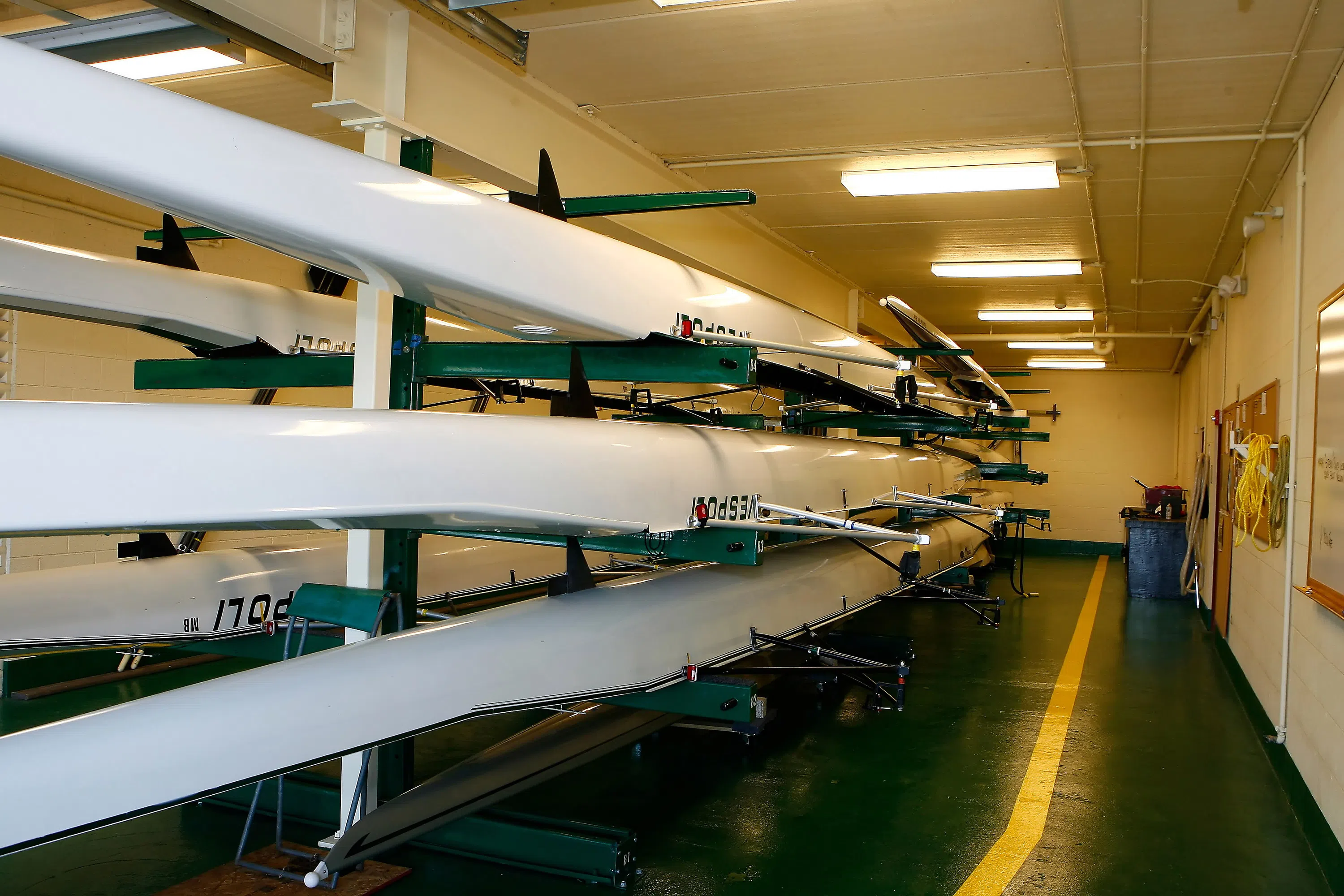 Picture of rowing boats 