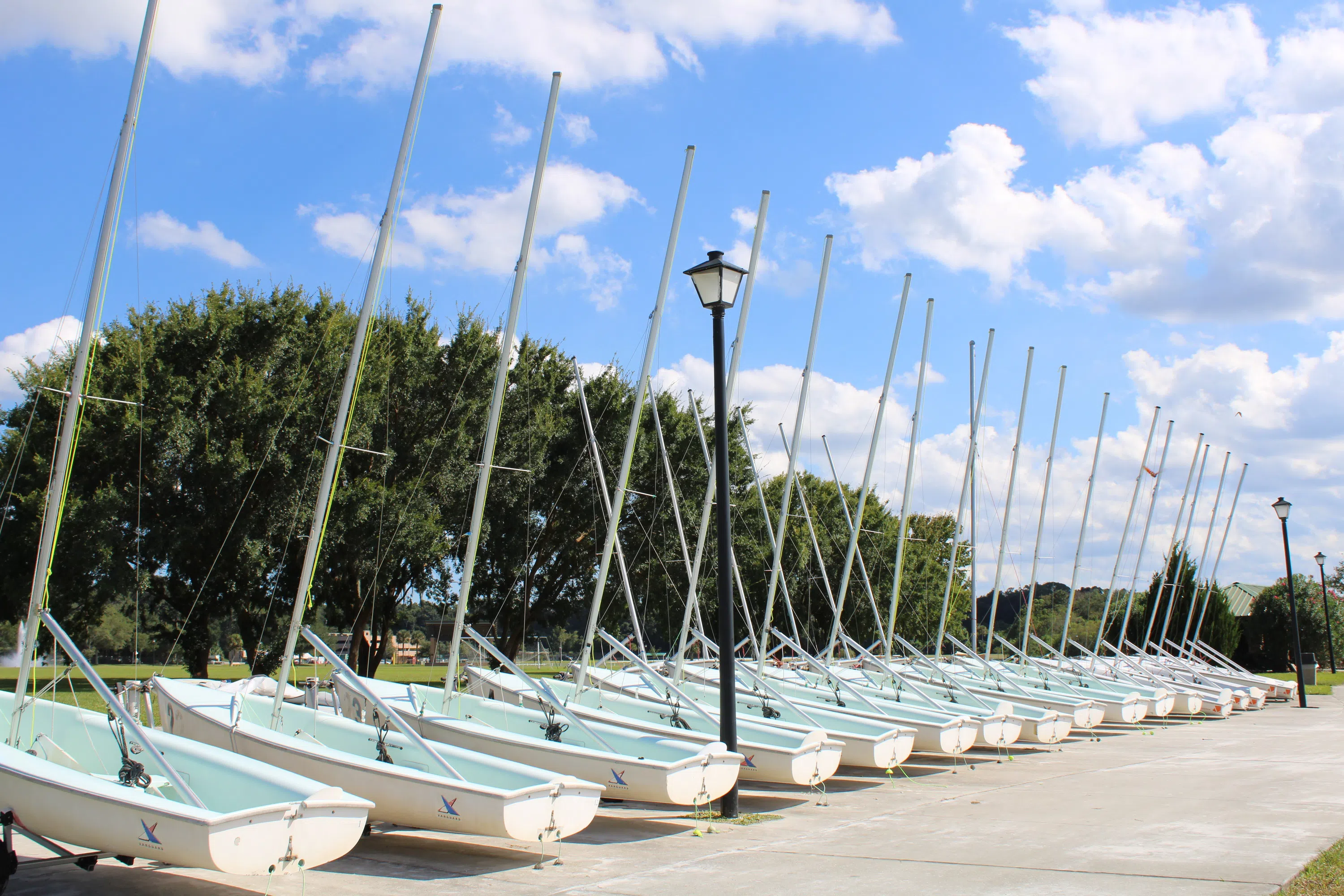 Picture of JU Sail Boats 