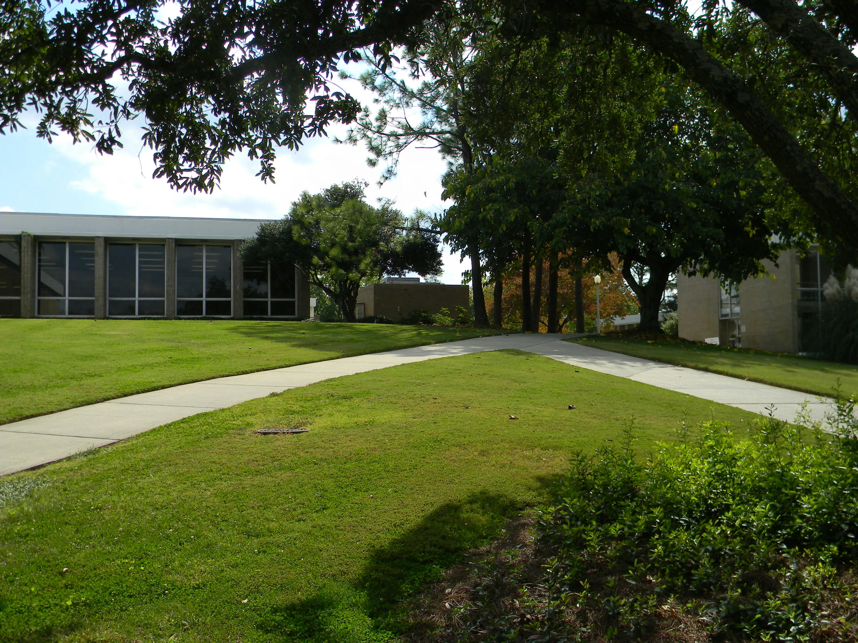 Student Bridge