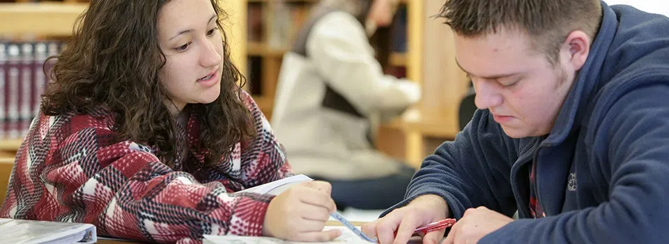 Two students study at the library.