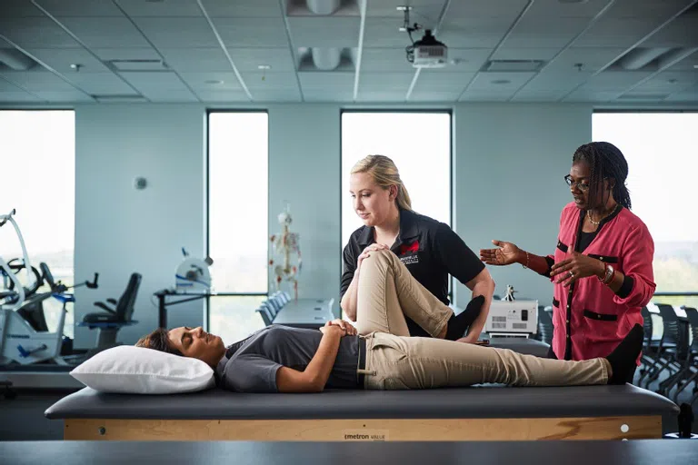 Physical Therapy Labs 