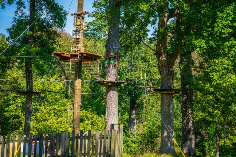 Challenge yourself by completing the Go Ape! Zipline ropes course!