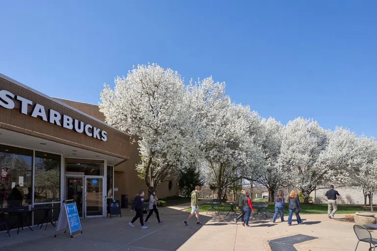 Starbucks serves as the entry point to the library and Division for Student Success. Grab a coffee and get to studying!