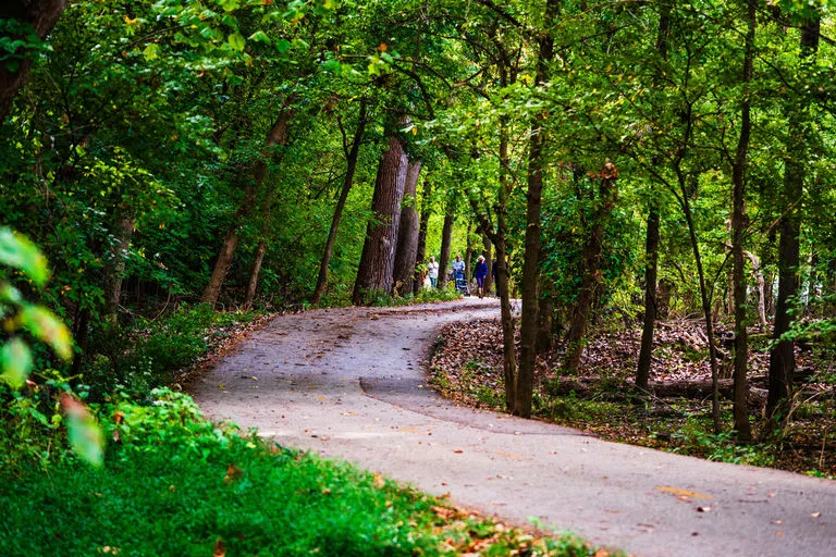 One of many hiking trails around the lake.