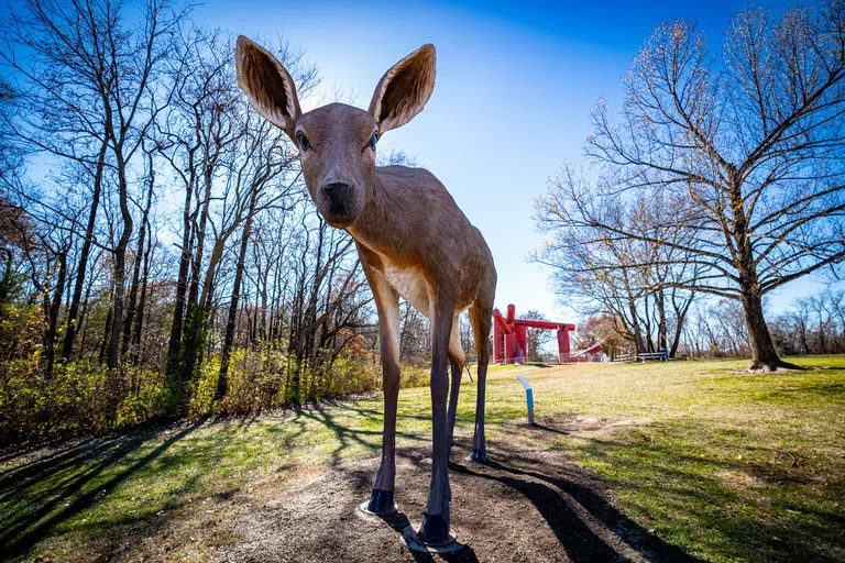 Deer Statue