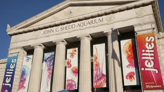 Outside of Shedd Aquarium