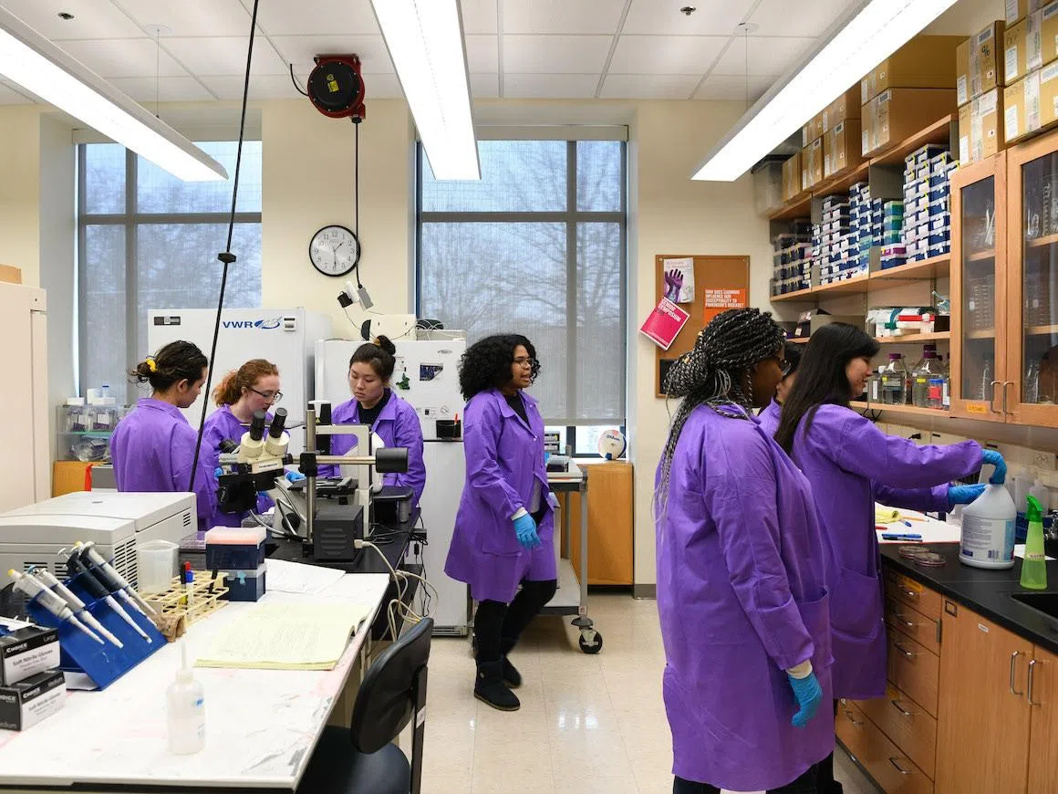 Students in purple lab coats conduct research.