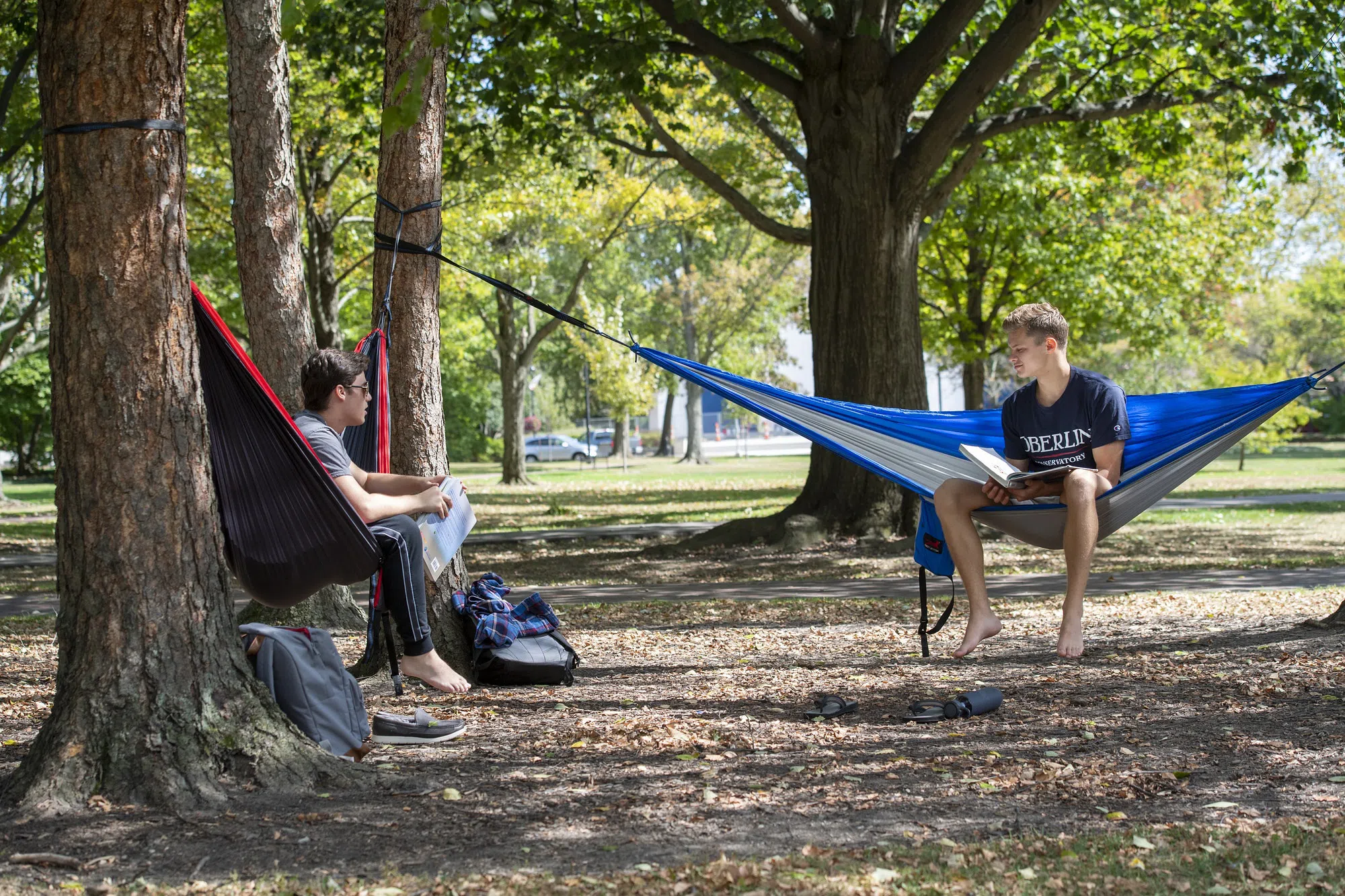 Two students sit in a hammock. 