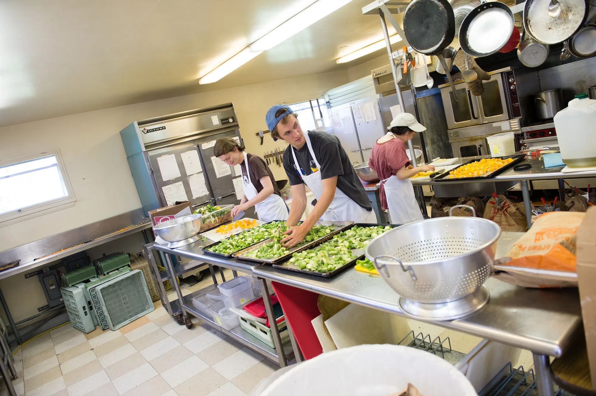 A student prepares 3 large sheet pans of brussels sprouts. 