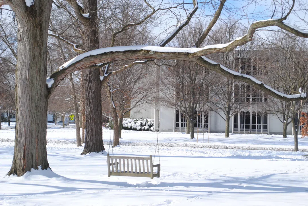 Pictured is a hanging bench swing from a large tree in Tappan, covered in snow in the winter. 