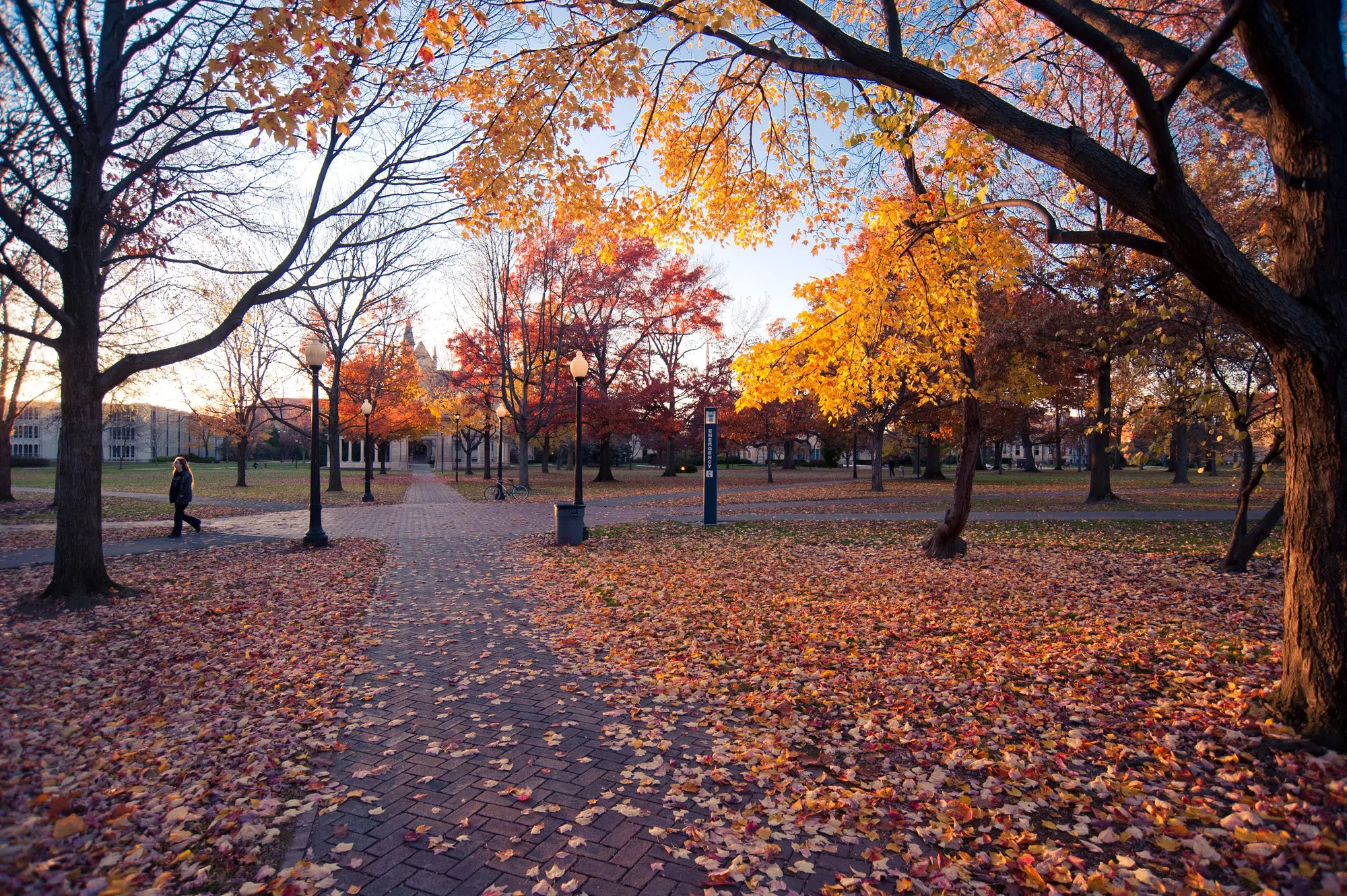 The middle of Tappan Square is covered by bright red, yellow, and orange leaves,
