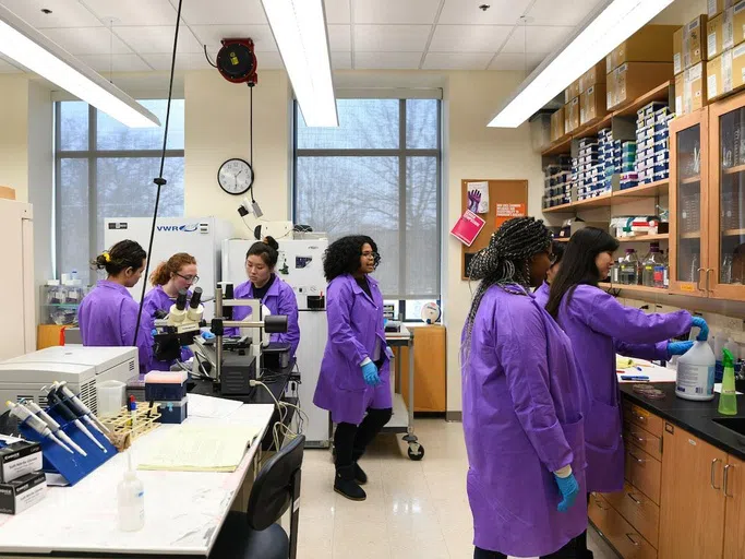 Students in purple lab coats conduct research.