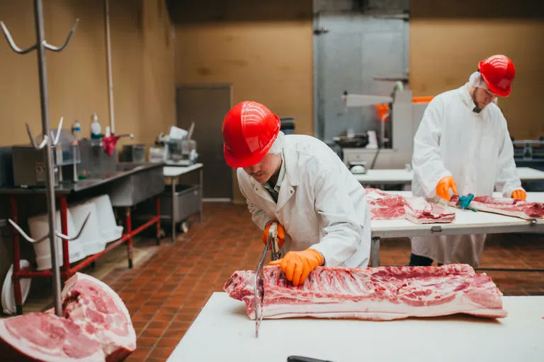 Student sawing a cut of ribs in the Firestone Meat Lab​