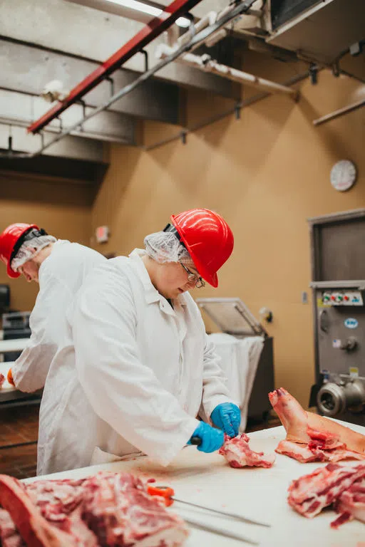 Student breaking down meat in the Firestone Meat Lab​