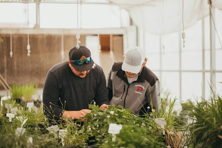 Students examining plants in Green House