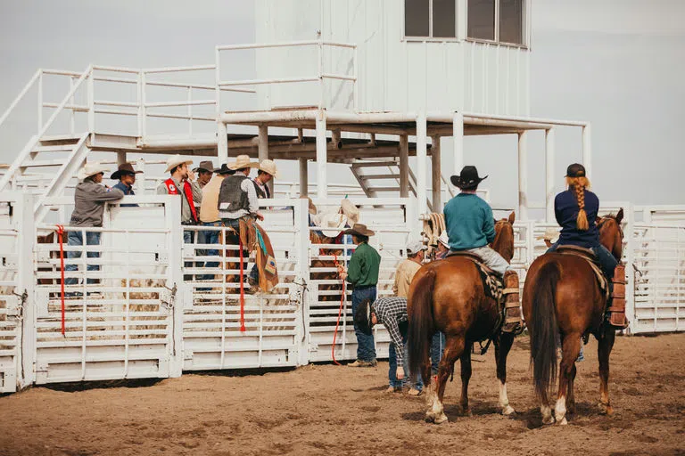 Students riding horses on the Farm