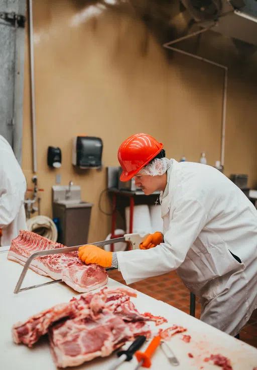 Student cutting meat in the Firestone Meat Lab​