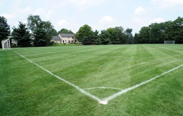 A soccer field
