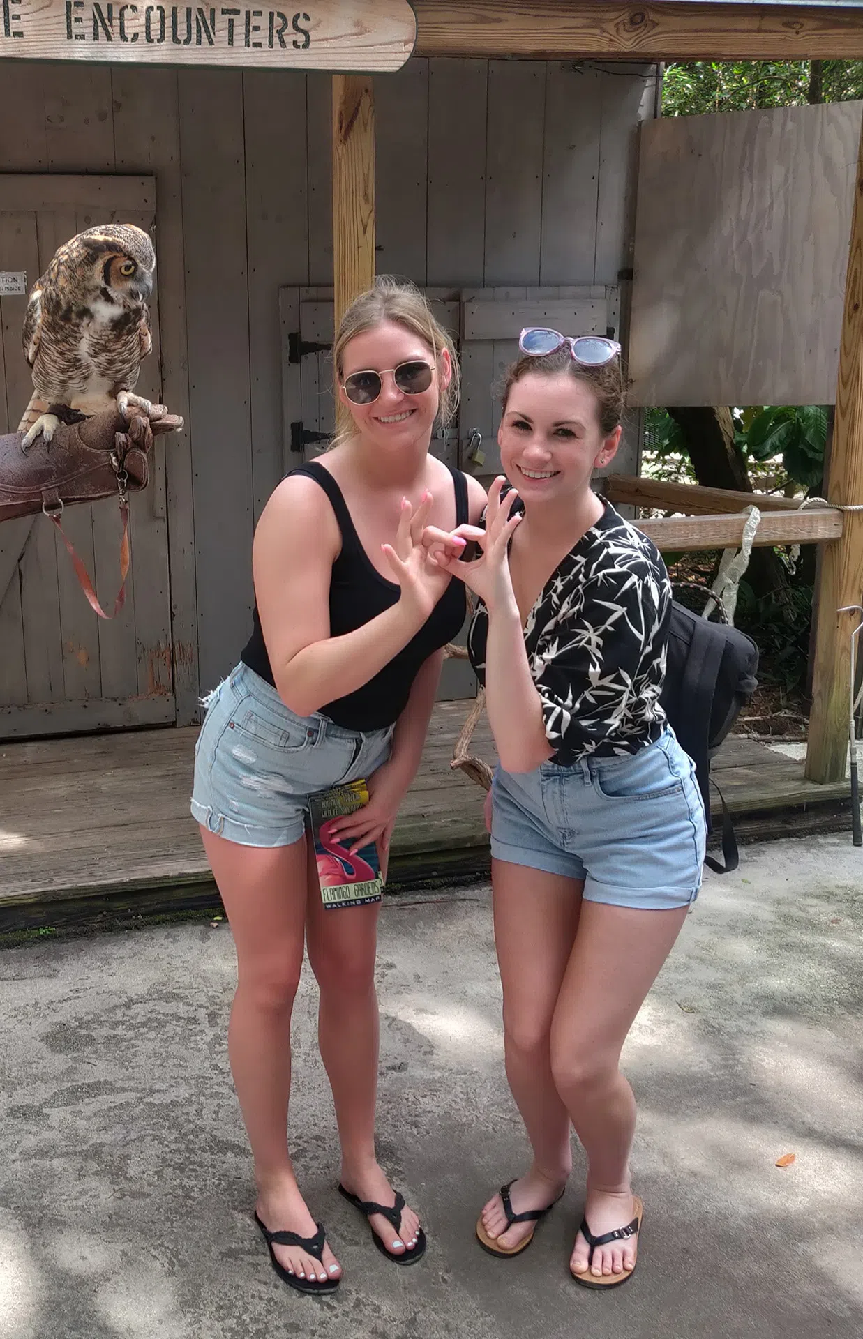 Two Sigma Alpha Tau (Owls) sorority sisters pose next to a live trained owl on a nearby perch.