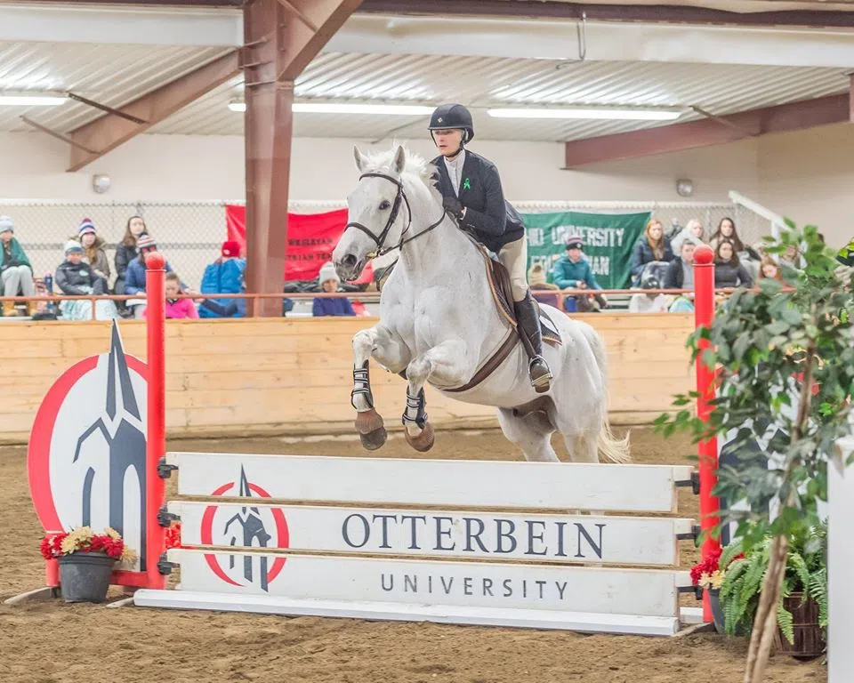 A rider and their horse riding. The horse is jumping over a wooden hurdle reading "Otterbein University"