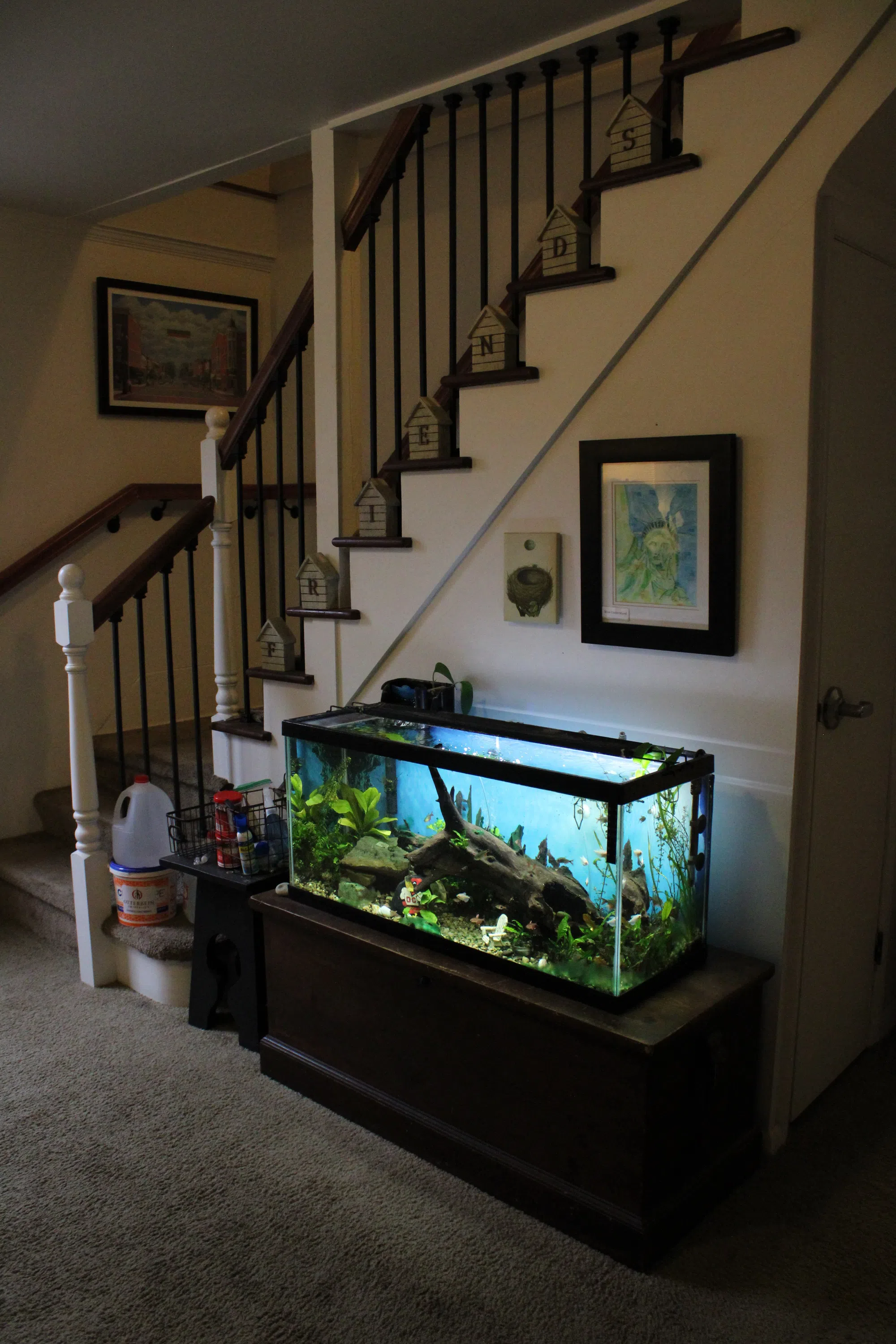 Staircase with an illuminated fishtank. Photos on the walls.