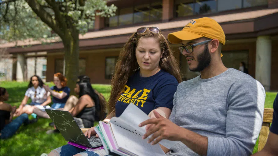 Students studying infront of the library