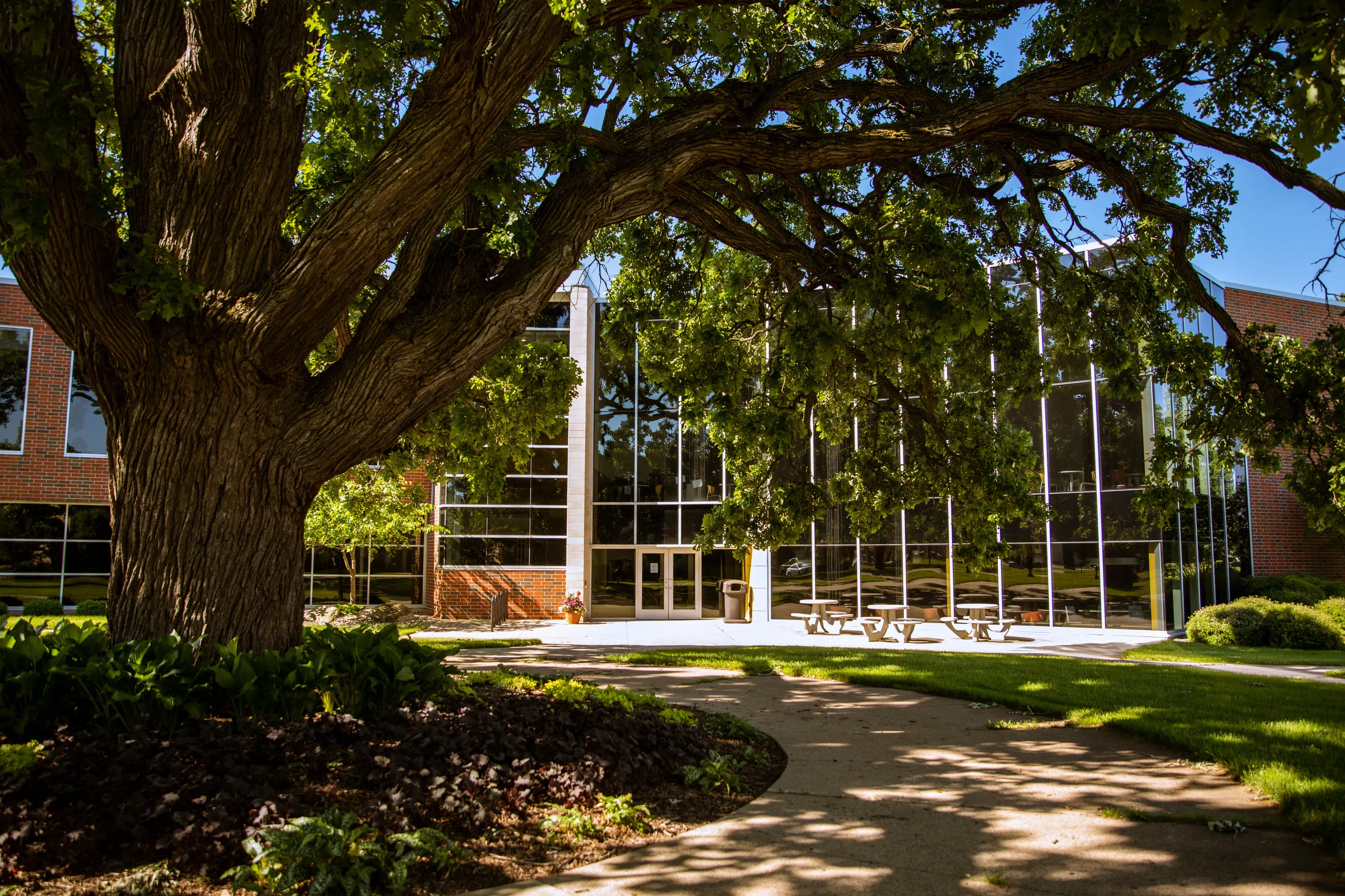 Exterior of student center with tree