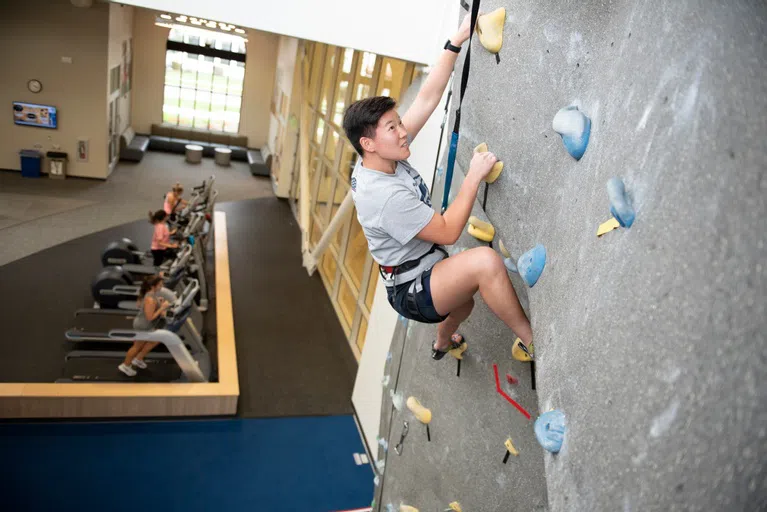 Indoor Rockwall