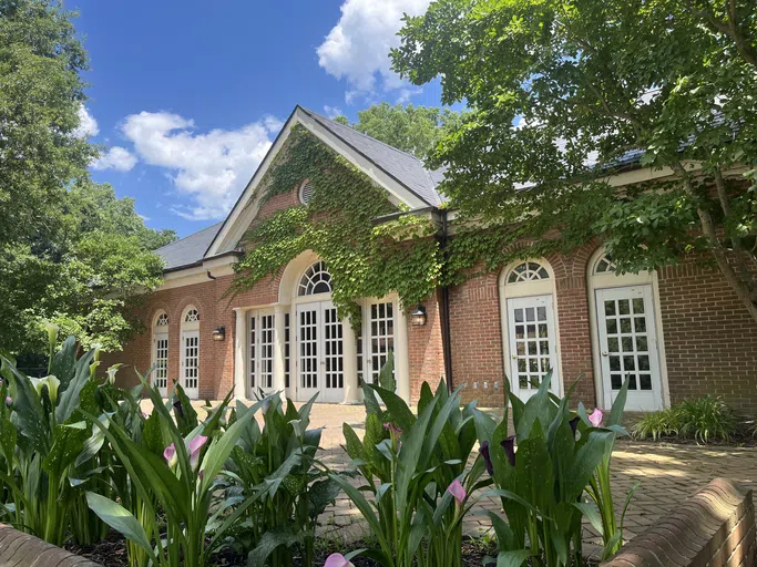 Daugherty Palmer Commons patio