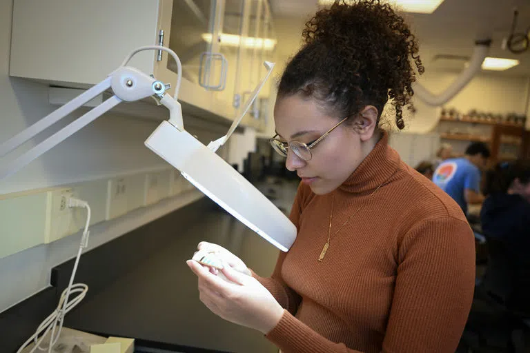 A student examining an artifact in the lab in Anne Arundel hall