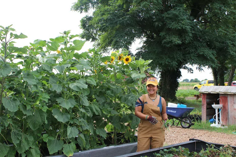 Student stands amongst the garden beds at the Kate Chandler Campus Community Farm.