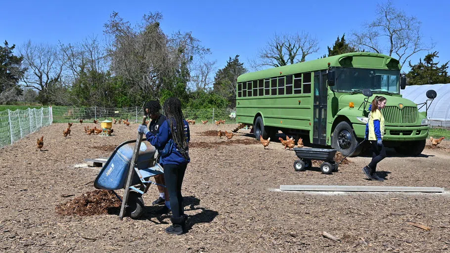 Students participating in "Bay to Bay service days" at the Kate Chandler Farm