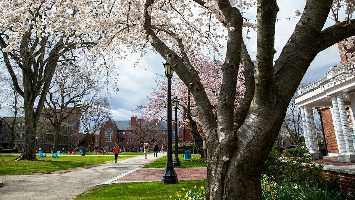 Olin Center for Language and Cultural Studies